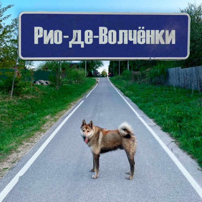 АЛИМЕНТЫ - Рио-де-Волчёнки