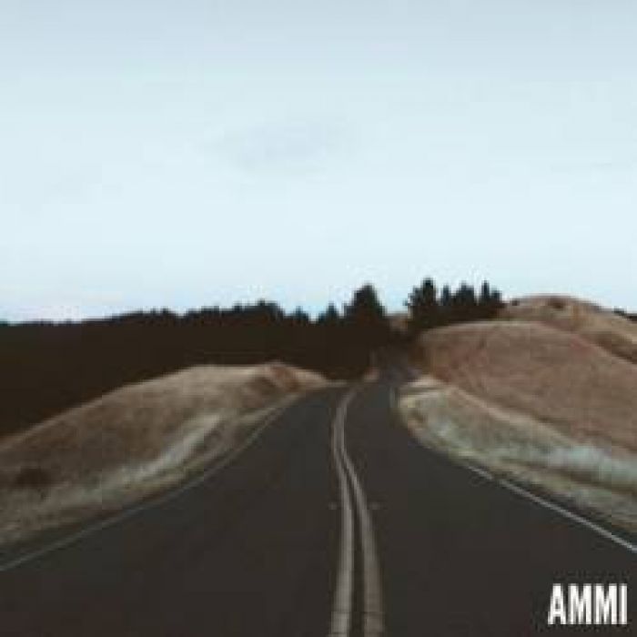 AMMI-Делай выбор