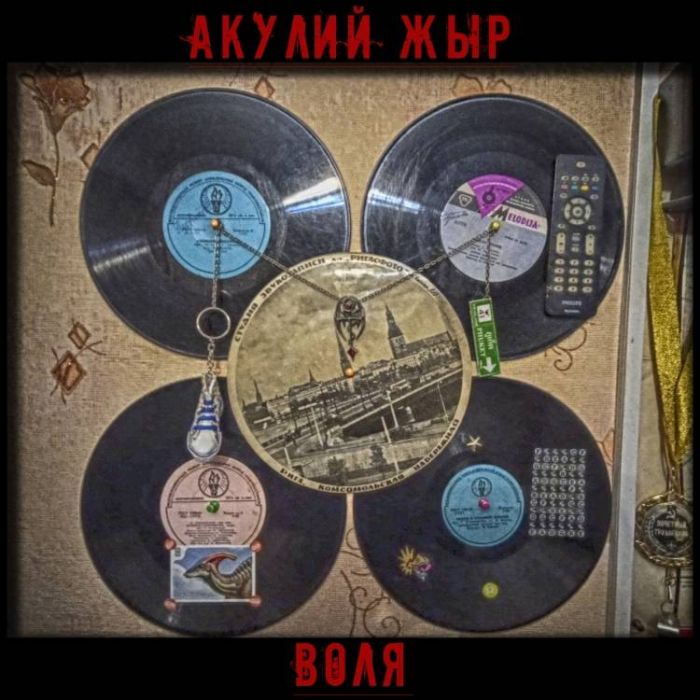 Акулий жЫр-Воля