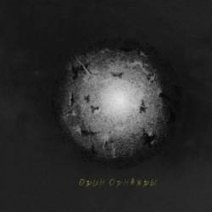 Alcalary-Забыть Себя