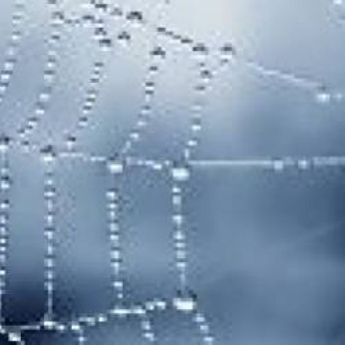 Александр Альтергот-Паутинка счастья