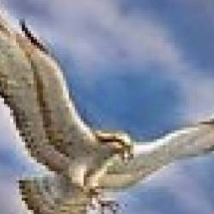 Александр Альтергот-В небе сокол закричал