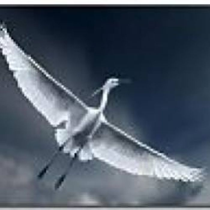 Александр Альтергот-Журавли