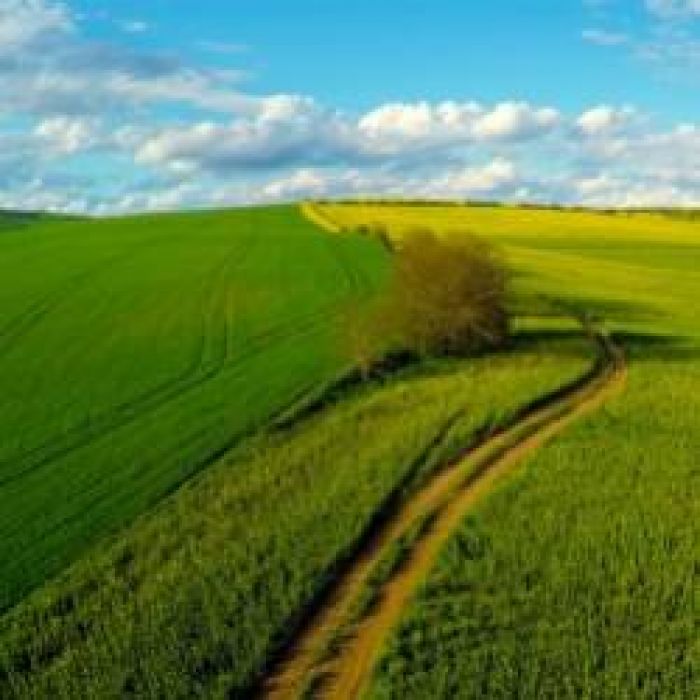 Александр Ангальт-Лети