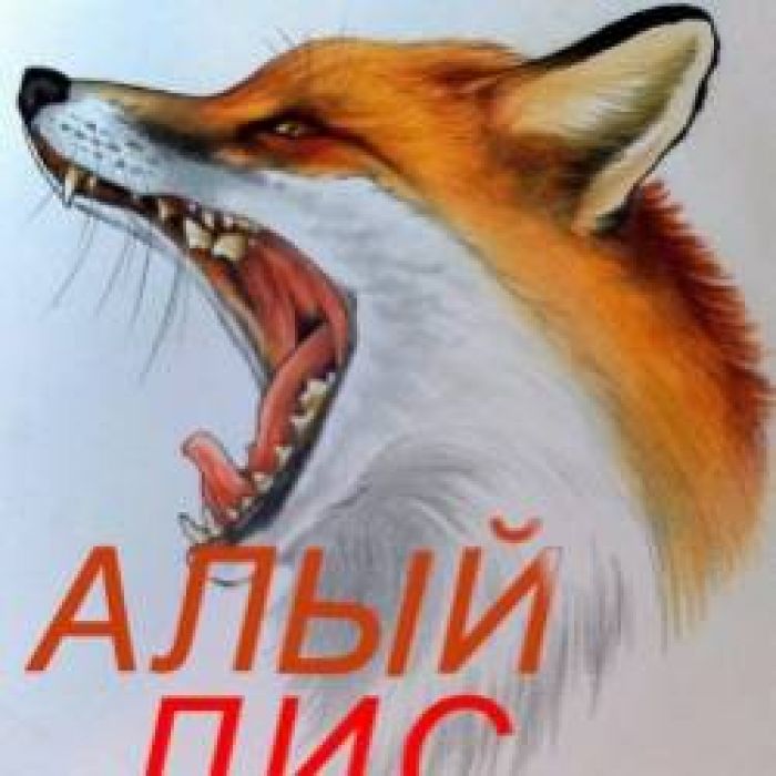 Алый Лис-RockFM