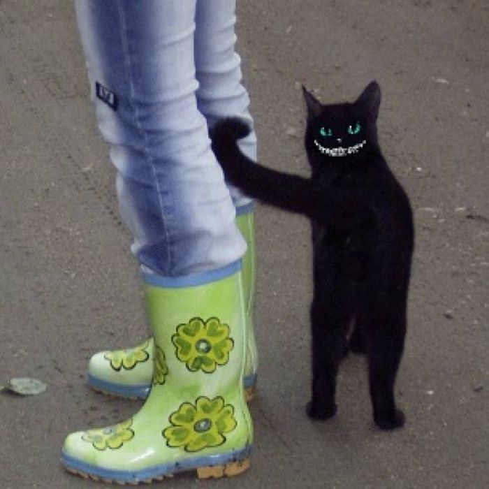 Аморальные песни-Паста Шоко-ладное Глазго и секретарские шкуры