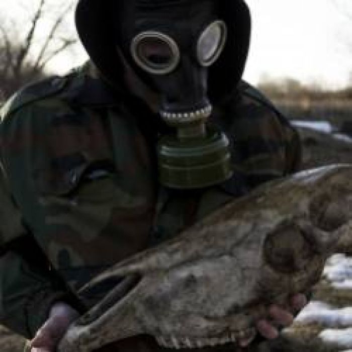 Арт-Проект Артель-Дерево