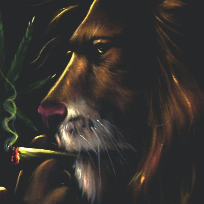 Аспарай - Снег