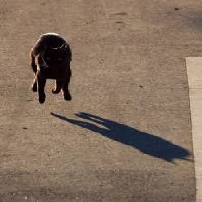 Аюпов Рустэм - Весна 2