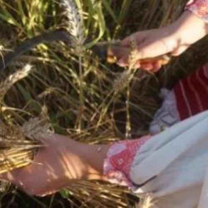 Берегиня-Жатва