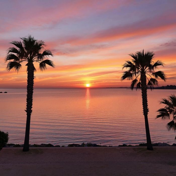 Catherine Flox - Sunset