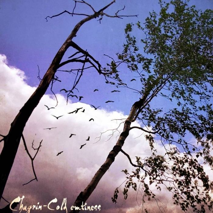 Chagrin-Our dreams were in vain