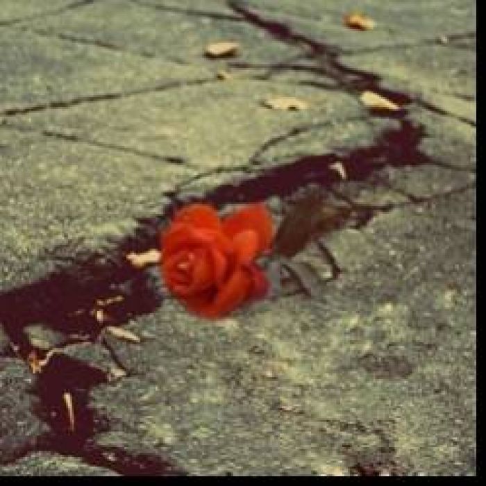 BreathOfMyHeart-мечты