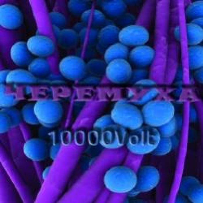 Черемуха-Привет