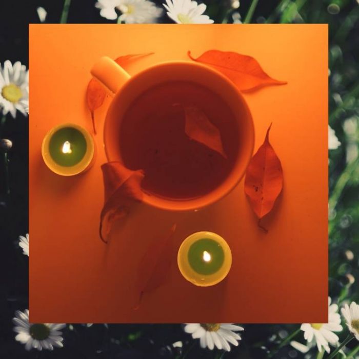 Дария Гагарин-Чай с ромашкой