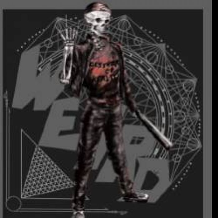 Destroyers Of Reality-Weird