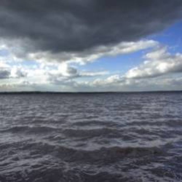 Dioman and Bagart-Dont go