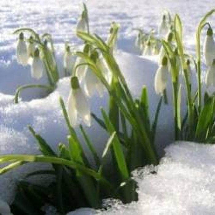 Дмитрий Кабанов-Поговори со мной