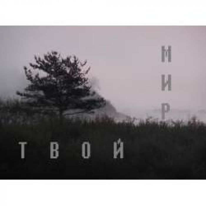 Дмитрий Тихомиров - Мир (Инструментал)