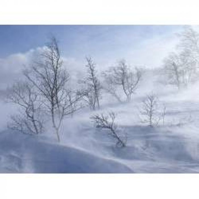 Дмитрий Ушаков - Вьюга