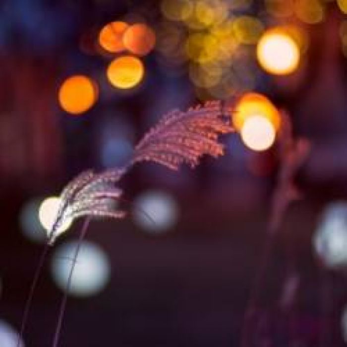 Дмитрий Волошин-Soulmate