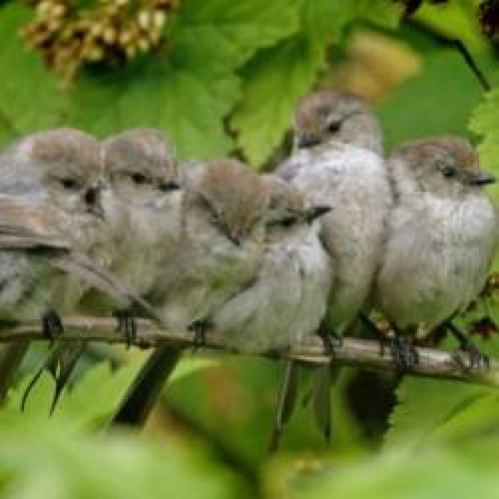 Дуэт Дмитрия и Натальи Першиных-Душа опустевшая