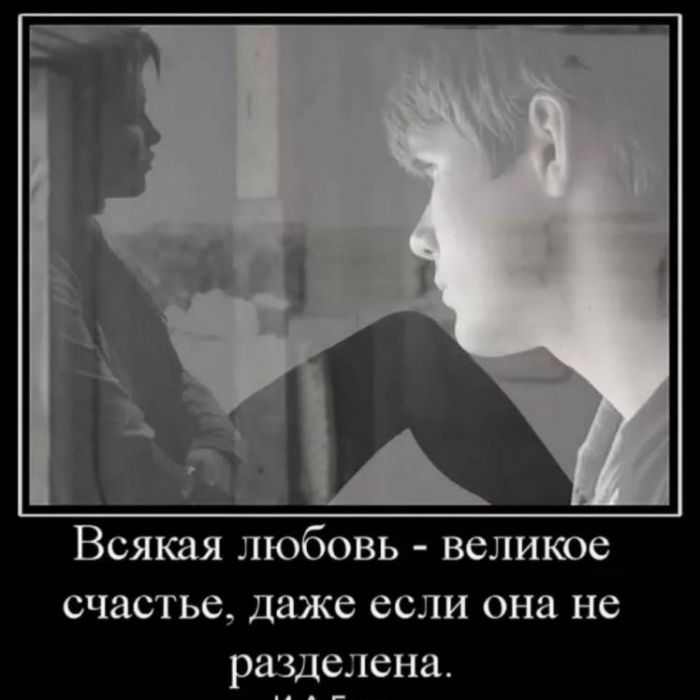 Экспонаты КунсткамерЫ-Катюше А