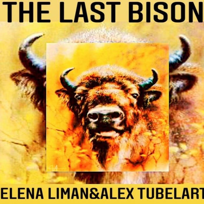 Elena Liman  Alex Tubelart-The last bison
