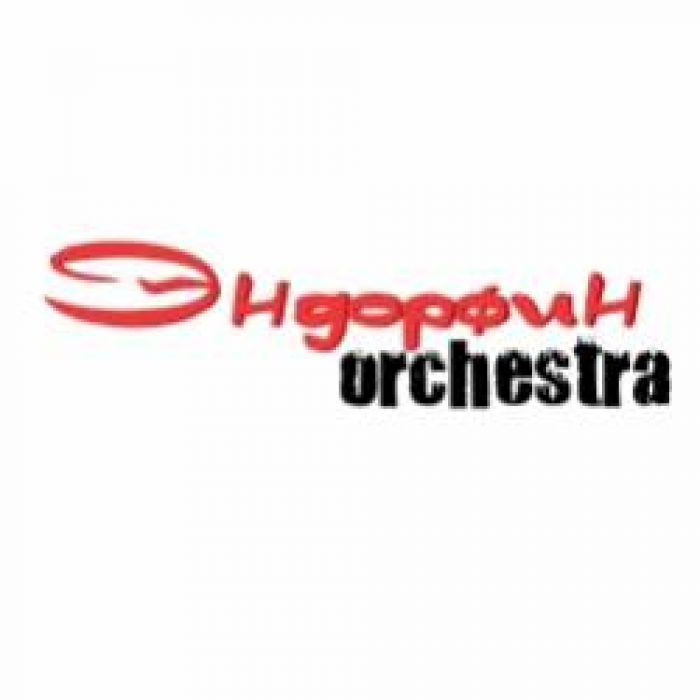 Эндорфин Orchestra- НЕ ЖАЛЕЙ