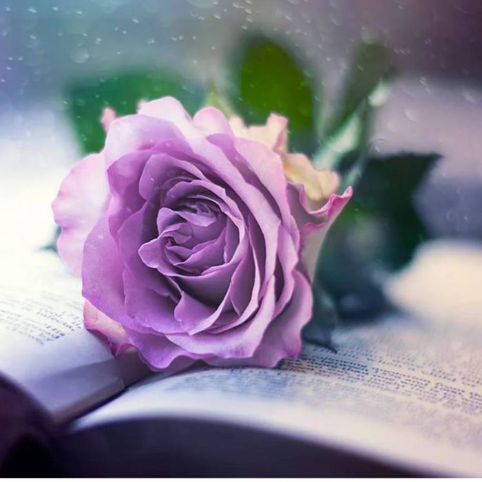 Enjoy Miles-Нежность