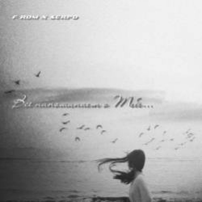 F ROM x SERPO-Все напоминает о Тебе