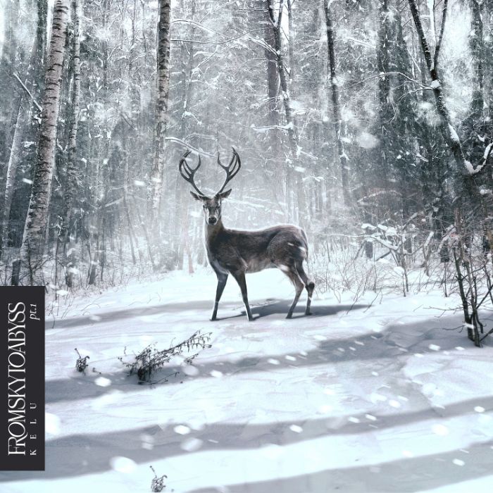 FROMSKYTOABYSS - Out of the Blue into the Black