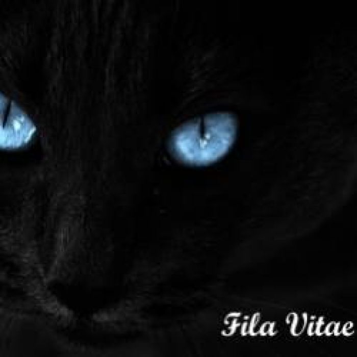 Fila Vitae-Гроза