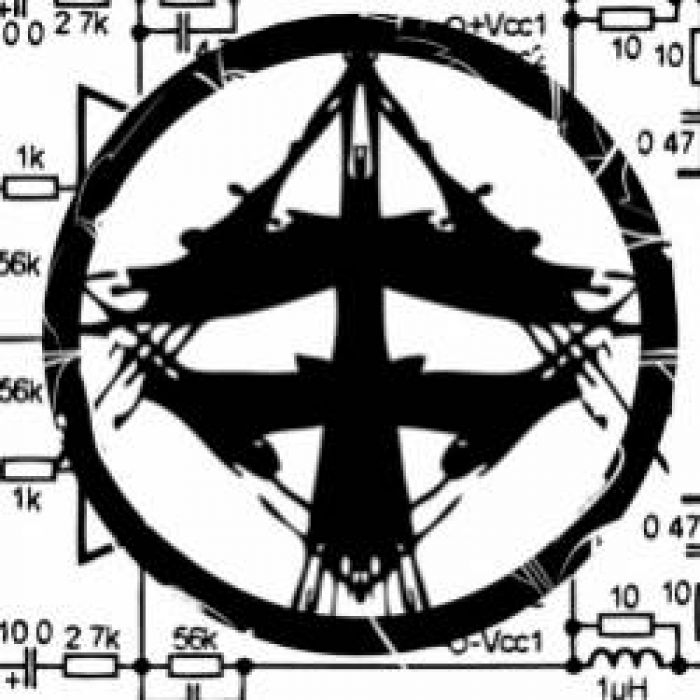 ForTE-Чёрный лебедь