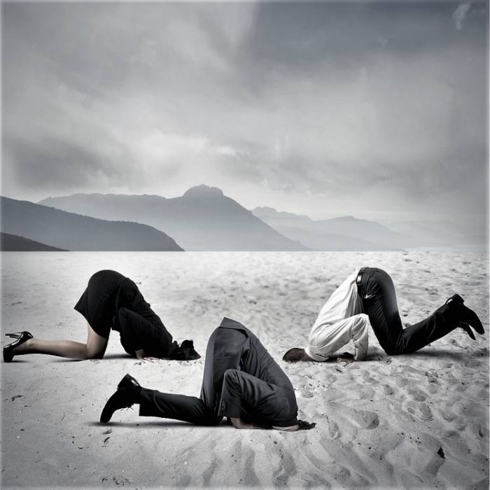 GRUZMUS-Вагонами