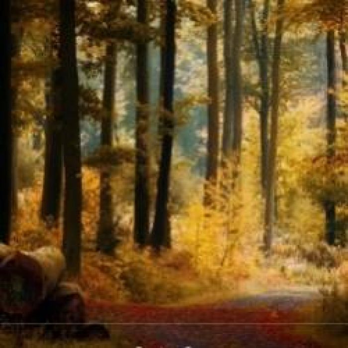 Ганин Валерий-3е ПИСЬМО