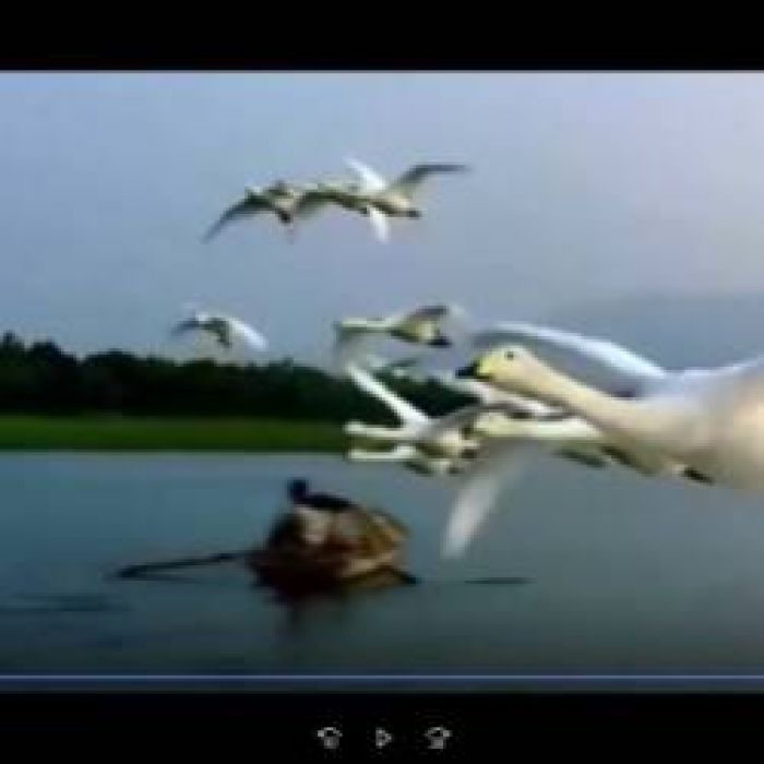 Ганин Валерий-ЛЕТИ ДУША