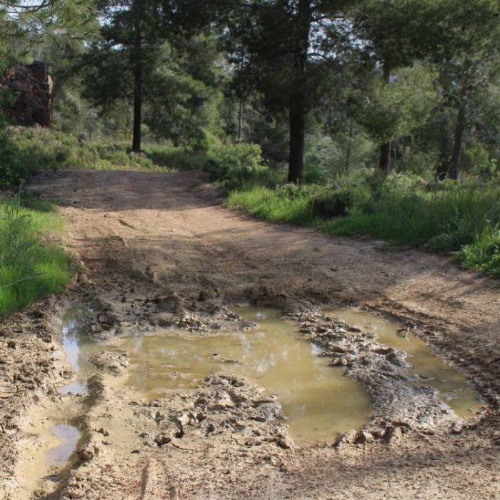 Гильгулим-Призрачный Кэб 