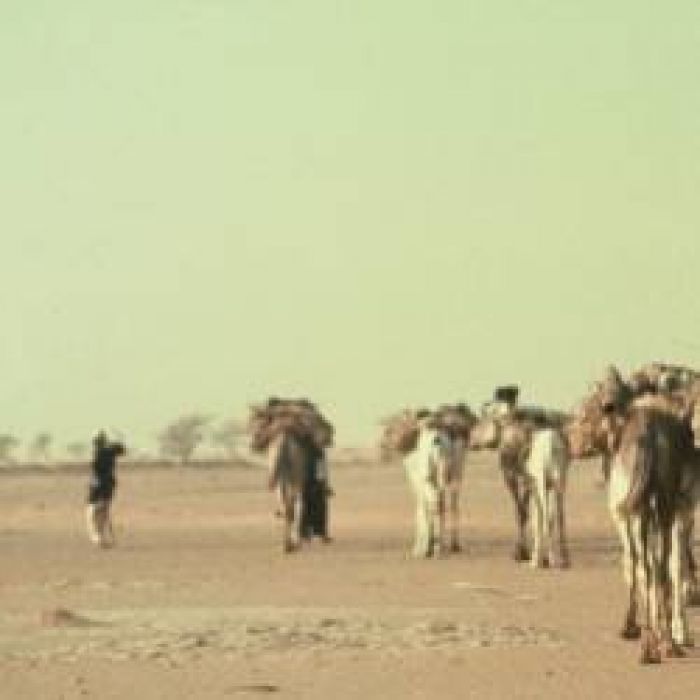 Гитарина-The Silk Road