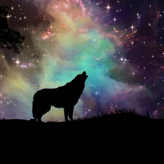 Годун Алексей-Нет