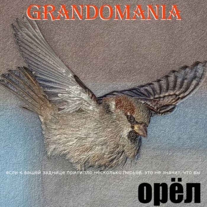 GrAndomania-Орёл
