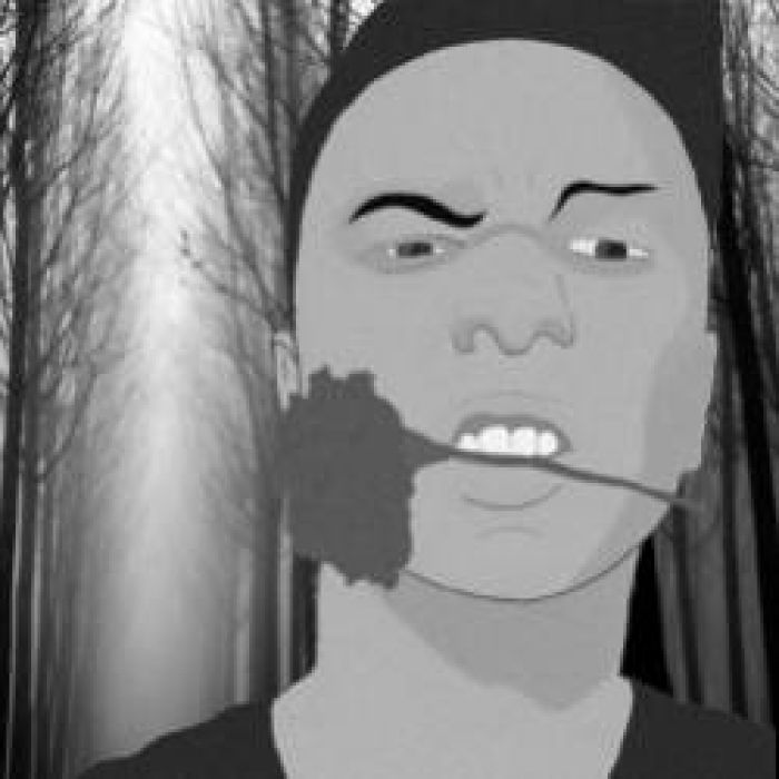 Гвоздика-дорога