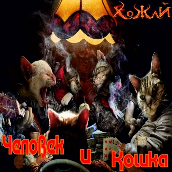 ХоЖаЙ-Человек и кошка