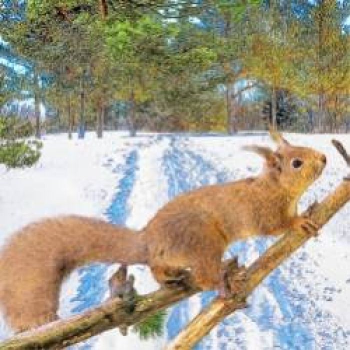 IceThurS-Белая дорога