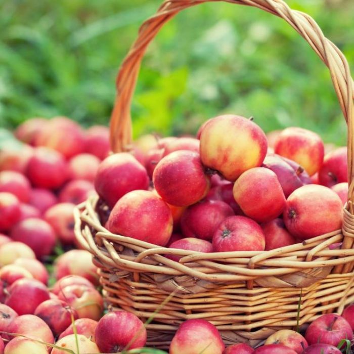 Игорь Махунов-На кухне август