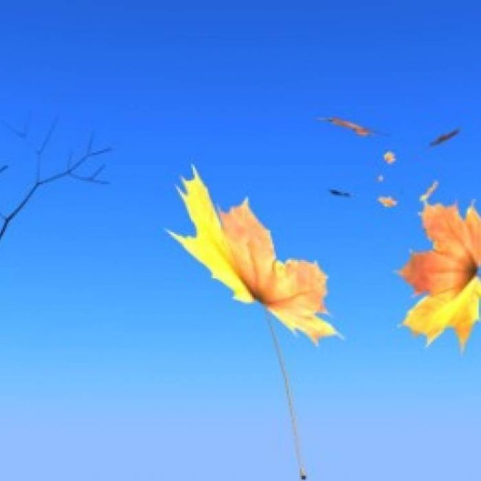 Игорь Махунов-Сединки Закружуськак сорванный листок