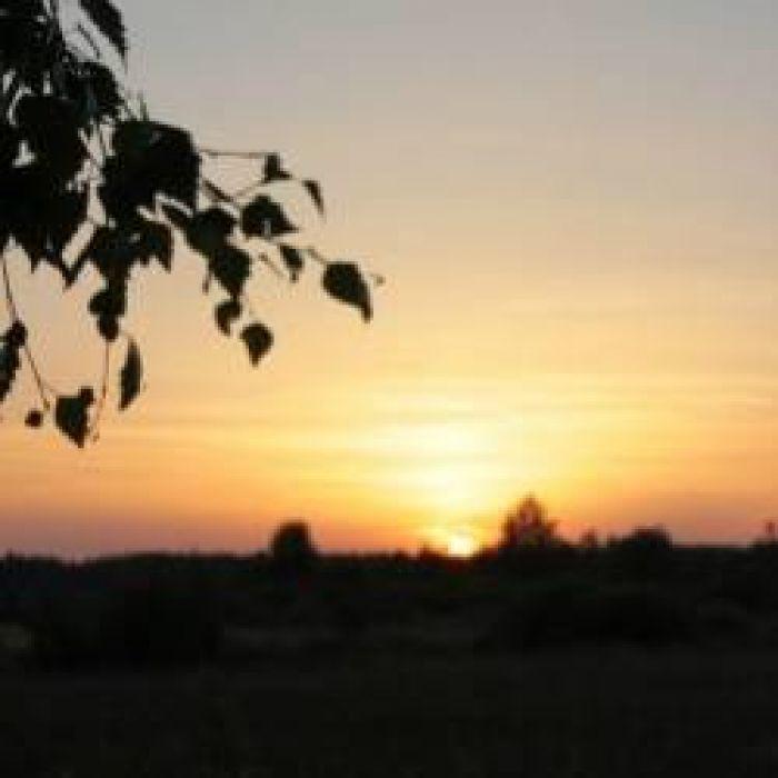 Калоши Счастья-Осень