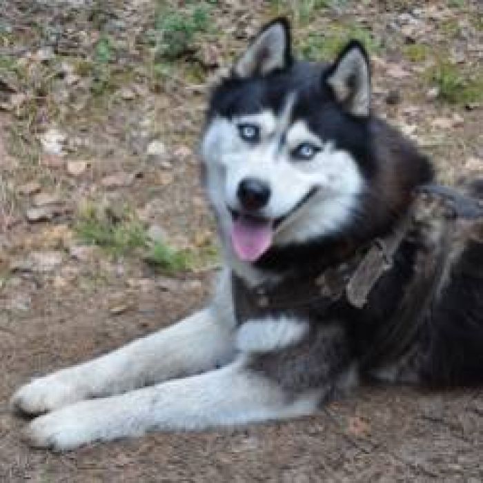 Калоши Счастья-Вечный Кайф