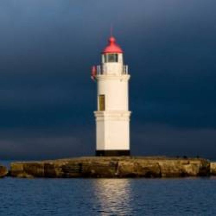 Клепиков МС  Гусякова Юлия-Российский маяк