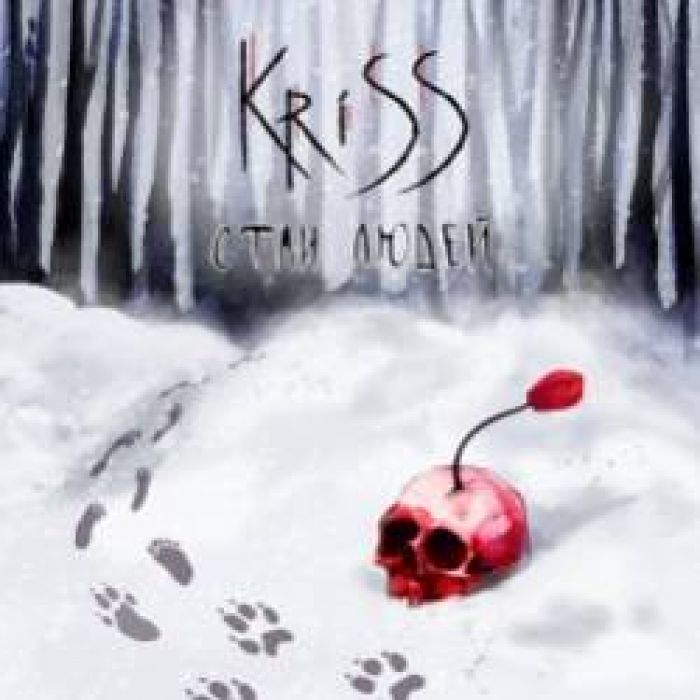 KriSS-Стаи людей